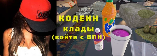 прущие грибы Арсеньев