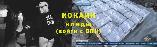 прущие грибы Арсеньев