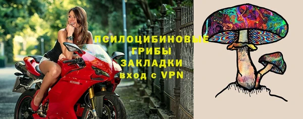 прущие грибы Арсеньев