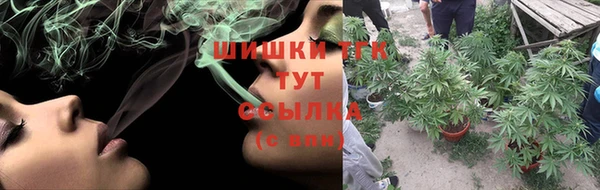 прущие грибы Арсеньев