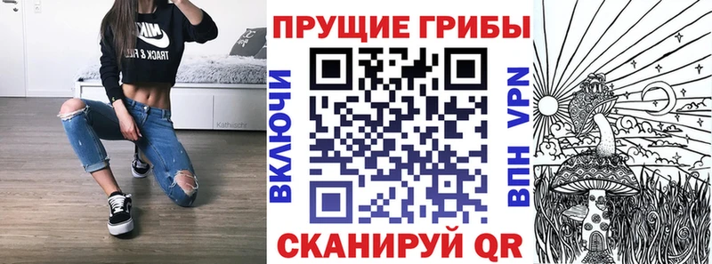 omg как войти Орёл Псилоцибиновые грибы GOLDEN TEACHER